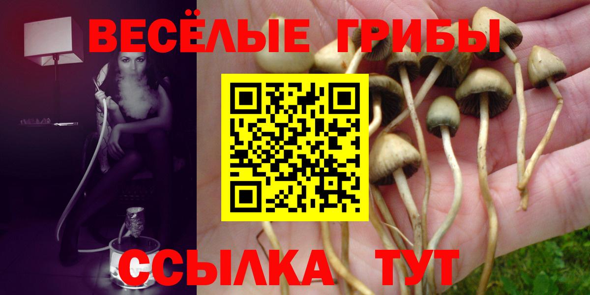 Псилоцибиновые грибы прущие грибы  Вход с VPN  Шебекино 